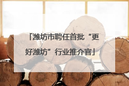 潍坊市聘任首批“更好潍坊”行业推介官