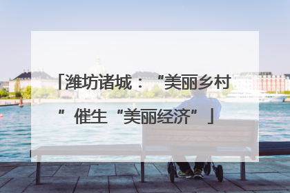潍坊诸城：“美丽乡村”催生“美丽经济”