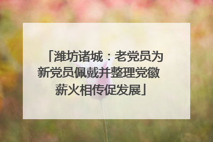 潍坊诸城：老党员为新党员佩戴并整理党徽 薪火相传促发展