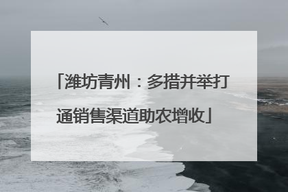 潍坊青州：多措并举打通销售渠道助农增收