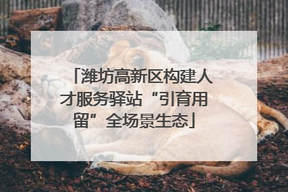 潍坊高新区构建人才服务驿站“引育用留”全场景生态