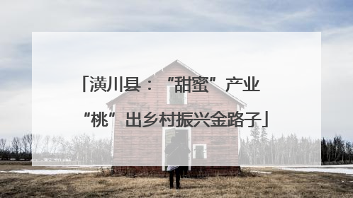 潢川县：“甜蜜”产业  “桃”出乡村振兴金路子
