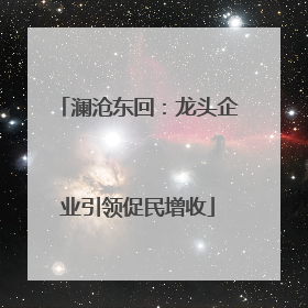 澜沧东回：龙头企业引领促民增收