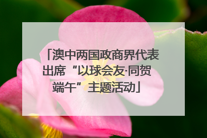 澳中两国政商界代表出席“以球会友·同贺端午”主题活动