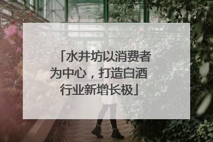 水井坊以消费者为中心，打造白酒行业新增长极