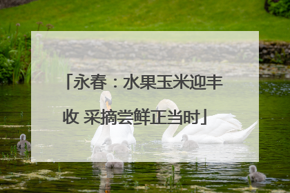 永春：水果玉米迎丰收 采摘尝鲜正当时