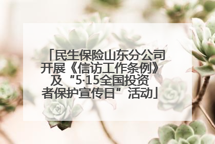 民生保险山东分公司开展《信访工作条例》及“5·15全国投资者保护宣传日”活动