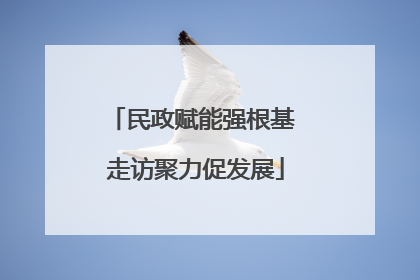 民政赋能强根基 走访聚力促发展