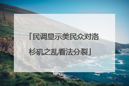 民调显示美民众对洛杉矶之乱看法分裂