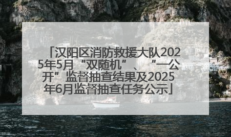 汉阳区消防救援大队2025年5月“双随机”、“一公开”监督抽查结果及2025年6月监督抽查任务公示