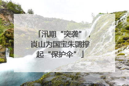 汛期“突袭”，崀山为国宝朱鹮撑起“保护伞”