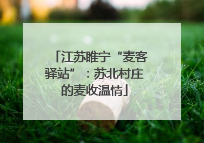 江苏睢宁“麦客驿站”：苏北村庄的麦收温情