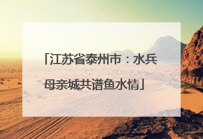 江苏省泰州市：水兵母亲城共谱鱼水情