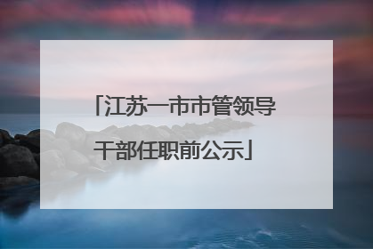 江苏一市市管领导干部任职前公示