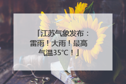 江苏气象发布：雷雨！大雨！最高气温35℃！