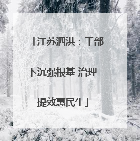 江苏泗洪：干部下沉强根基 治理提效惠民生