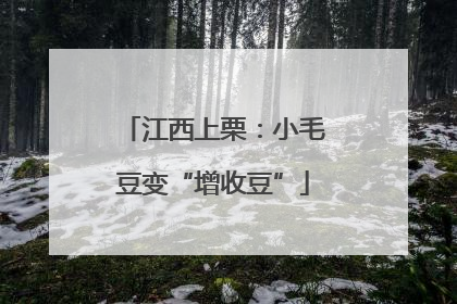 江西上栗：小毛豆变“增收豆”