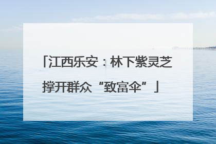 江西乐安：林下紫灵芝撑开群众“致富伞”