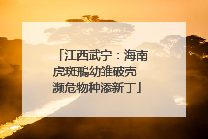 江西武宁：海南虎斑鳽幼雏破壳 濒危物种添新丁