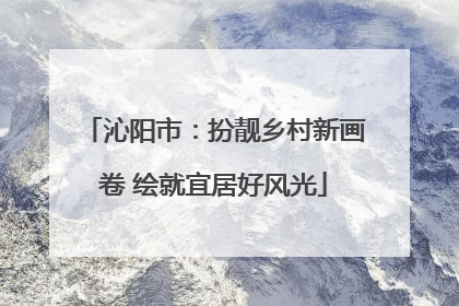 沁阳市：扮靓乡村新画卷 绘就宜居好风光