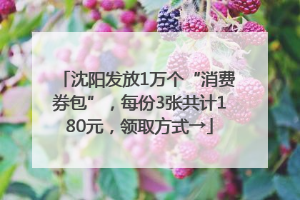 沈阳发放1万个“消费券包”，每份3张共计180元，领取方式→