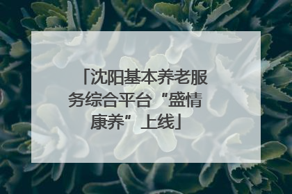沈阳基本养老服务综合平台“盛情康养”上线