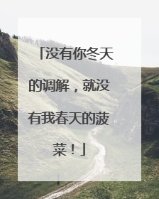 没有你冬天的调解，就没有我春天的菠菜！
