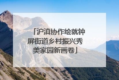 沪滇协作绘就钟屏街道乡村振兴秀美家园新画卷