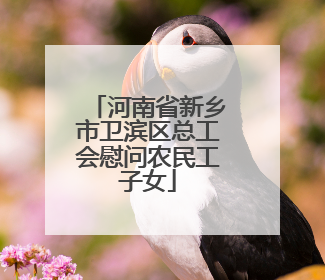 河南省新乡市卫滨区总工会慰问农民工子女