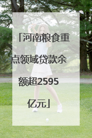 河南粮食重点领域贷款余额超2595亿元
