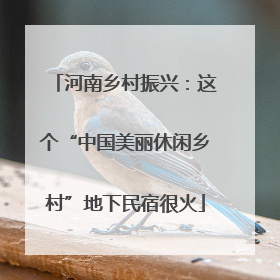 河南乡村振兴：这个“中国美丽休闲乡村”地下民宿很火