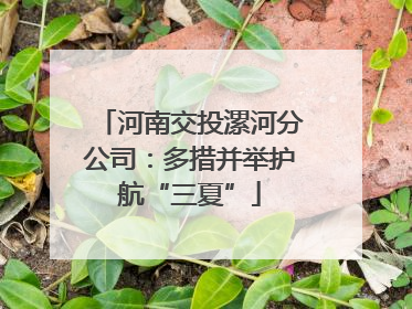 河南交投漯河分公司：多措并举护航“三夏”