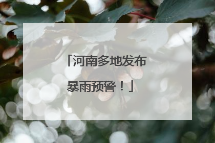 河南多地发布暴雨预警！