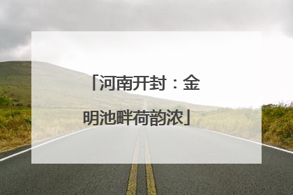 河南开封：金明池畔荷韵浓