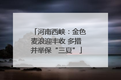 河南西峡：金色麦浪迎丰收 多措并举保“三夏”