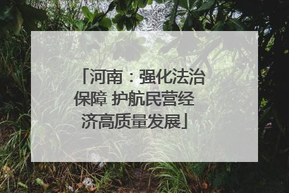 河南：强化法治保障 护航民营经济高质量发展