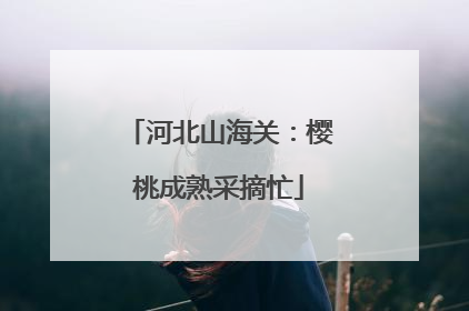 河北山海关：樱桃成熟采摘忙