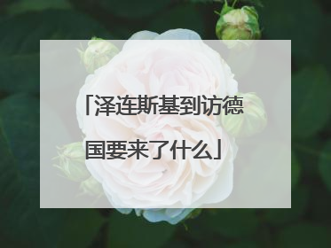 泽连斯基到访德国要来了什么