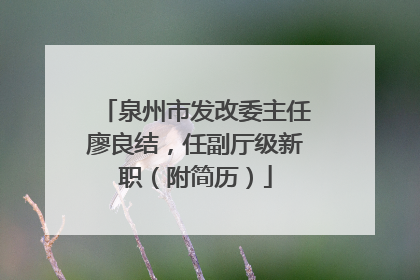 泉州市发改委主任廖良结，任副厅级新职（附简历）