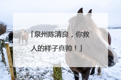 泉州陈清良，你救人的样子真帅！