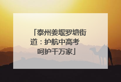 泰州姜堰罗塘街道：护航中高考 呵护千万家