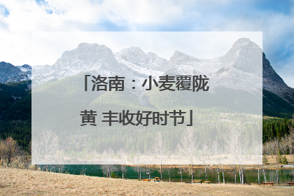 洛南：小麦覆陇黄 丰收好时节