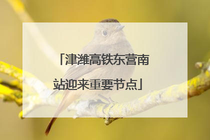 津潍高铁东营南站迎来重要节点