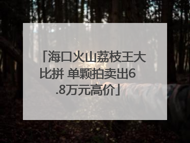 海口火山荔枝王大比拼 单颗拍卖出6.8万元高价