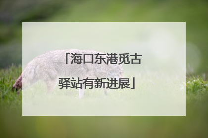 海口东港觅古驿站有新进展