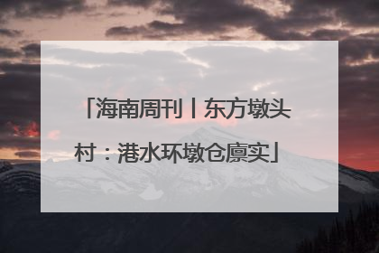 海南周刊丨东方墩头村：港水环墩仓廪实