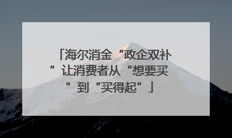 海尔消金“政企双补”让消费者从“想要买”到“买得起”