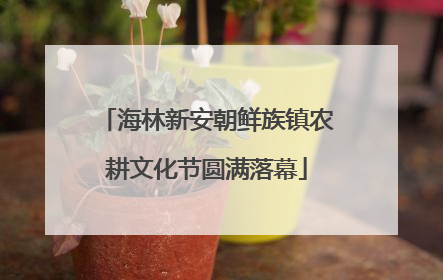 海林新安朝鲜族镇农耕文化节圆满落幕