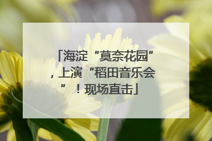 海淀“莫奈花园”，上演“稻田音乐会”！现场直击