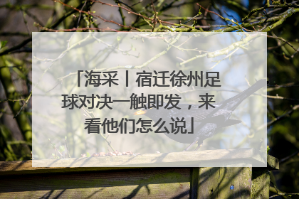 海采丨宿迁徐州足球对决一触即发，来看他们怎么说